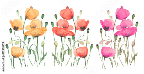 Pink, orange and red poppies on a white background, in a watercolor style.