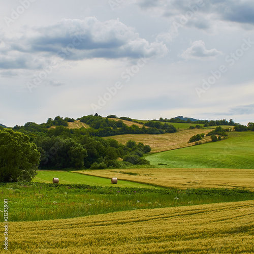 Wheat filed and meadows cloudy sky harvest © Nairon