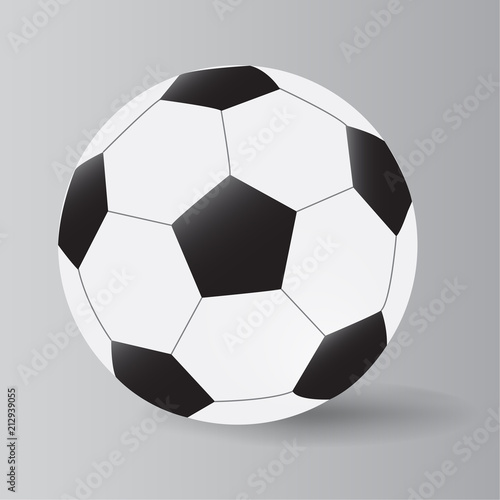 vector of soccer ball on white background