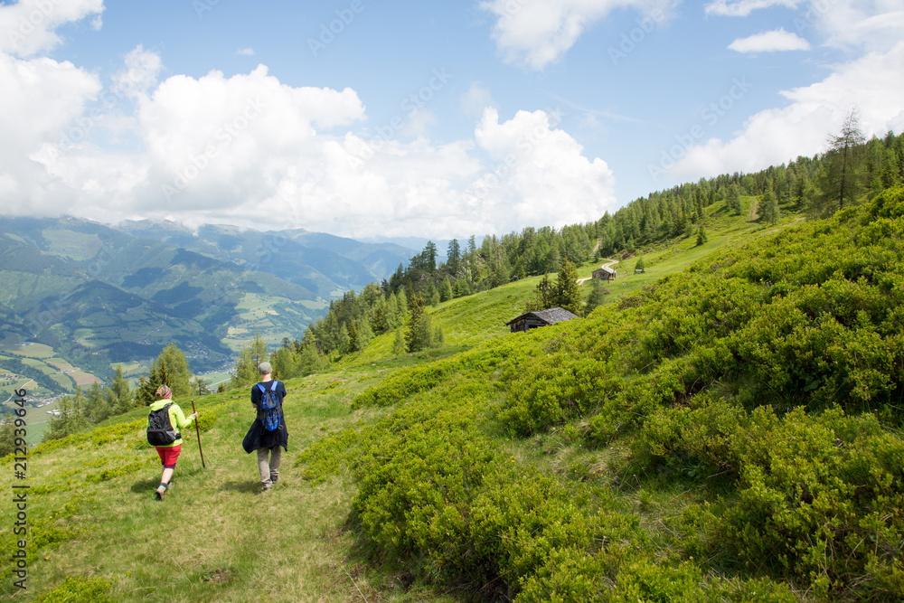 Two hikers on a lush green high altitude summer alp surrounded by wild blueberry bushes.