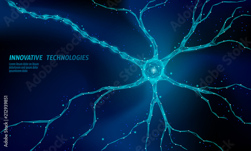Human neuron low poly anatomy concept. Artificial neural network technology science medicine cloud computing. AI 3D abstract biology system. Polygonal blue glowing vector illustration