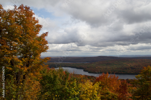 Autumn landscape