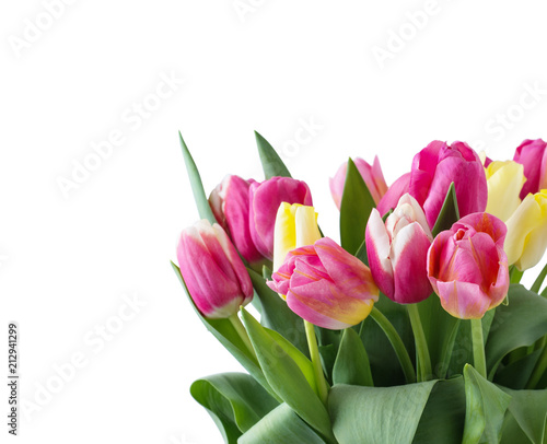 Mix of tulips flowers
