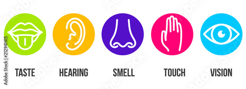 Creative vector illustration line icon set of five human senses. Vision, hearing, smell, touch, taste isolated on transparent background. Art design nose, eye, hand, ear, mouth with tongue element