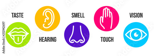 Creative vector illustration line icon set of five human senses. Vision, hearing, smell, touch, taste isolated on transparent background. Art design nose, eye, hand, ear, mouth with tongue element