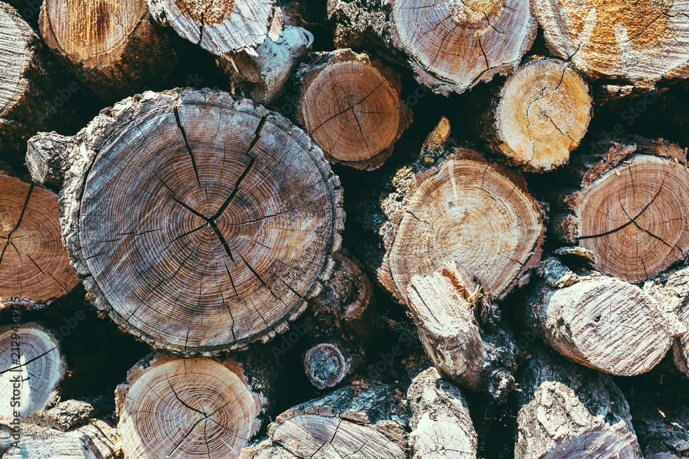 Logging Logs Lumber Natural Fuel Wood Texture Logging Logs Lumber Natural Fuel Wood Texture