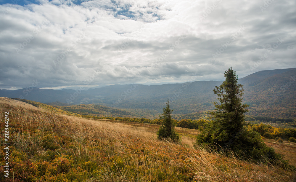 Obraz premium Beautiful mountains in Poland - Bieszczady