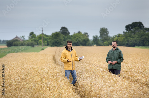 Farmers walking in wheat field