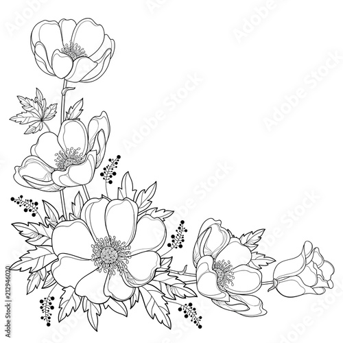 Obraz na plátne Vector hand drawing corner bouquet with outline Anemone flower or Windflower, bud and leaf in black isolated on white background