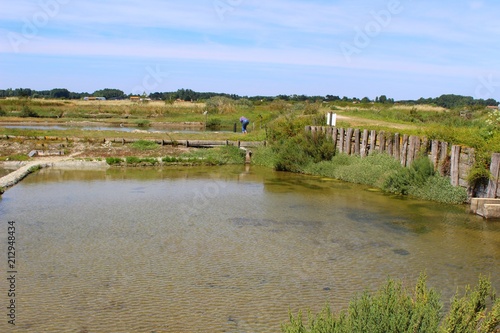 bassin de décantation avant fabrication du sel dans les marais salants en Vendée