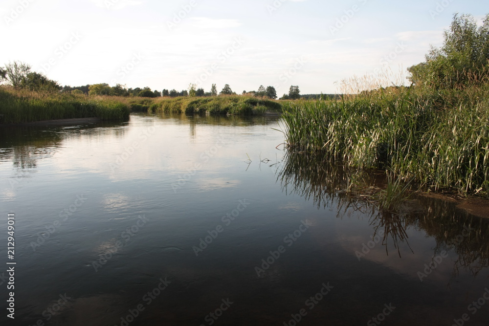 Fototapeta premium Rzeka latem