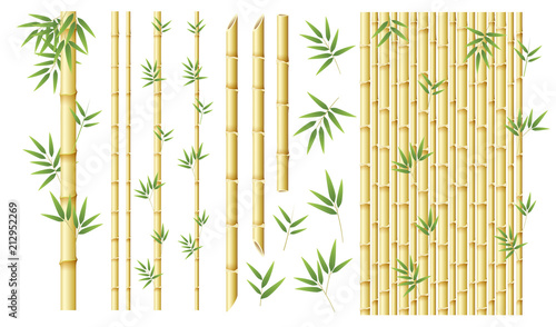 Set of different bamboo