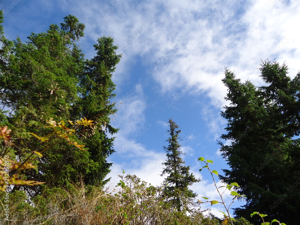 Fototapeta premium Hemsedal...Norway