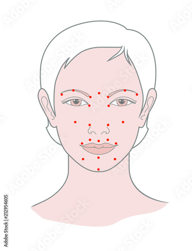 Shiatsu points face massage, acupuncture. Vector. Isolated on white background