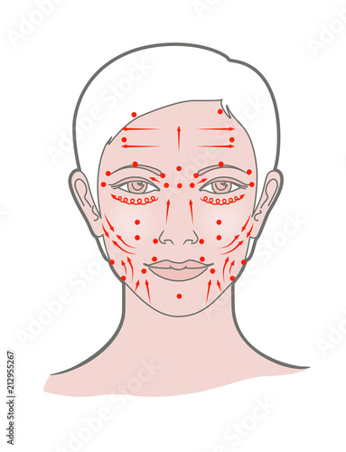 Shiatsu points face massage, acupuncture. Vector. Isolated on white background