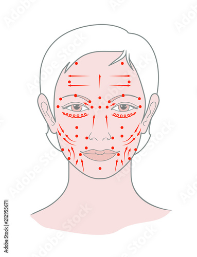 Shiatsu points face massage, acupuncture. Vector. Isolated on white background