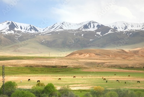 The route of beautiful scenic from Bishkek to Naryn with the Tian Shan mountains of Kyrgyzstan