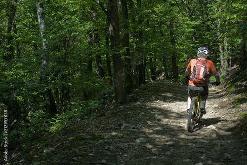 man uses an electric bicycle, e-bike, ebike, mtb, pedal on a dirt road, in a beech forest, during summer, mountain, sport, adventure, freedom, Colazza, Lake Maggiore, Italy
