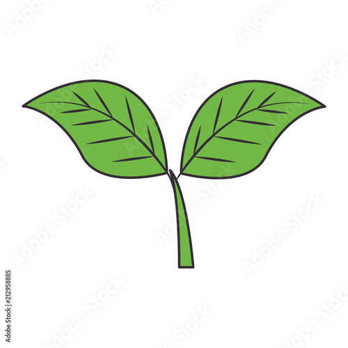 leafs plant ecology emblem