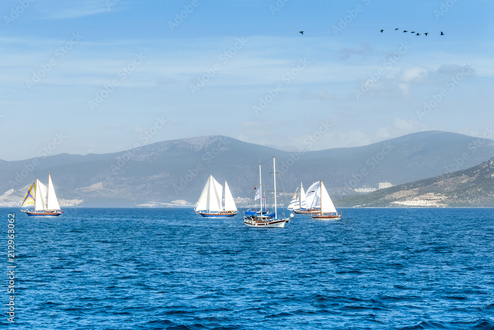 Fototapeta premium Didim, Turkey, 22 October 2010: Bodrum Cup Races, Gulet Wooden Sailboats