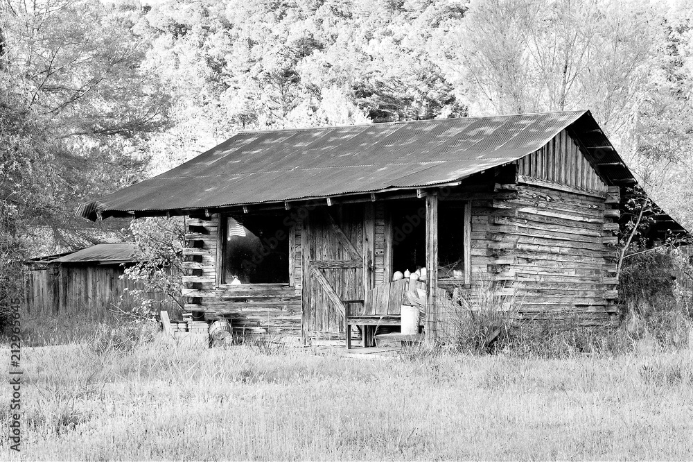 Old, rustic abandoned log cabin in black and white. Little house has square  logs, rusty metal roof, and windows with an American Flag. Concepts of  Americana, old-fashioned, nostalgia, Stock Photo | Adobe