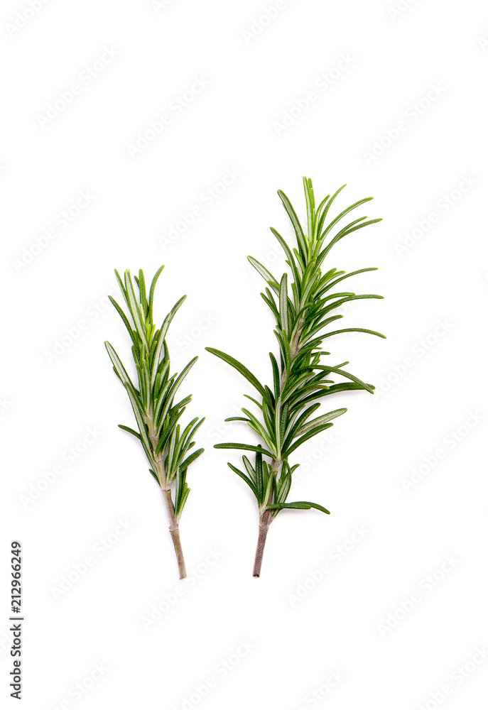 Twig of rosemary on a white background Twig of rosemary on a white background