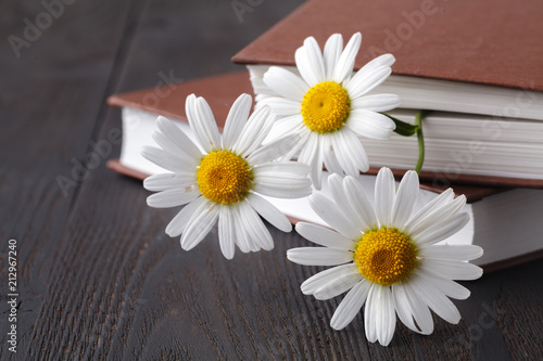 bouquet of white daisies on old book