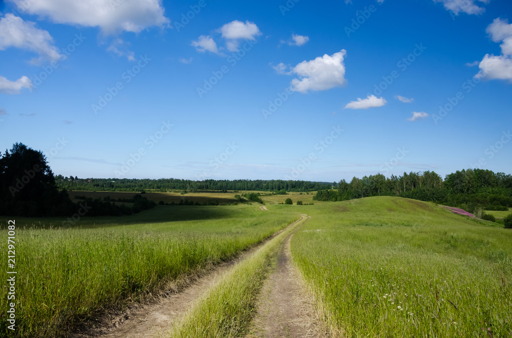 Summer landscape with country road in the field of green grass and clouds and shadows on the ground