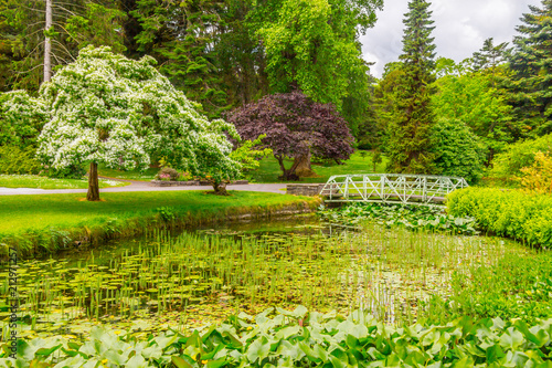 Photography Trees, walk way and lake in Botanic Garden