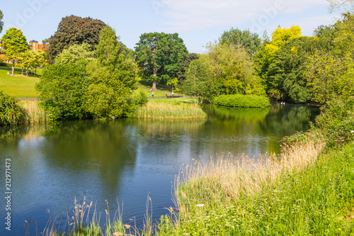 Fields, lake and trees in Phoenix park photo