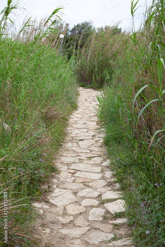 Cobblestone Pathway in the middle of green high grass, Worn Rocky Trail of Stone and Rocks Surrounded by Vegetation and Plants, Old Natural Walkway into the Fresh Spring Herbs at the Sunny Square