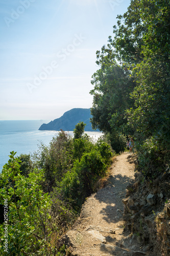 Vertical View of the Cliff in the Path connecting Vernazza to Monterosso.