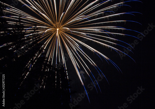 White Fourth of July Fireworks through the trees on Lake Sawyer in Washington State