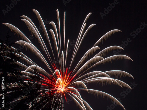 White and Fire Orange Fourth of July Fireworks Through the Trees on Lake Sawyer in Washington State