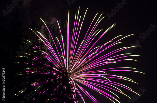 Purple and White Fourth of July Fireworks Throught the Trees on Lake Sawyer in Washington State