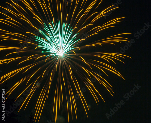 Yellow and Green Fourth of July Fireworks on Lake Sawyer in Washington State