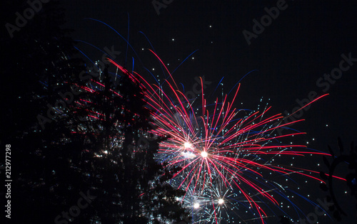 Electric Red Fourth of July Fireworks Througth the Trees on Lake Sawyer in Washington State