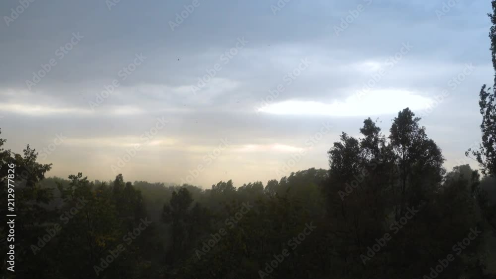 strong winds and rain shook the trees strong winds and rain shook the trees