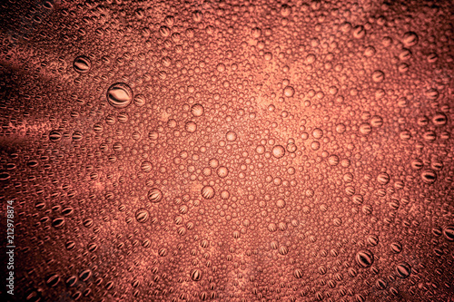 Champagne Pink wine bubble wine sparkles macro