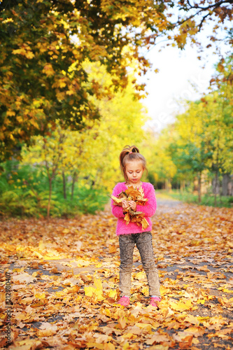 Cute little girl plays with an autumn leaves.