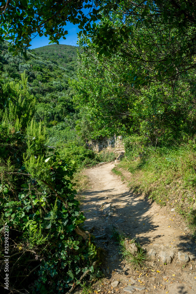 Vertical View of the Cliff in the Path connecting Vernazza to Monterosso. Vertical View of the Cliff in the Path connecting Vernazza to Monterosso.