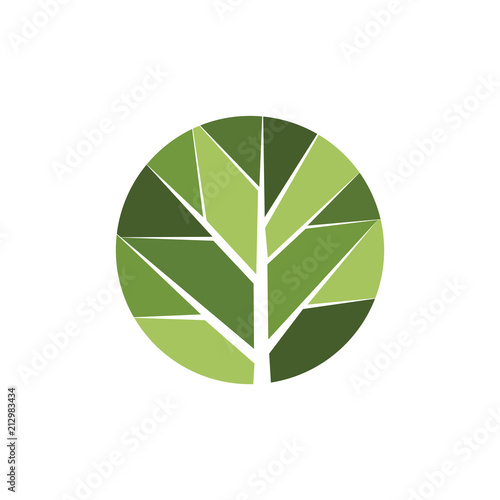 branches abstract leaf logo vector element. branches logo template