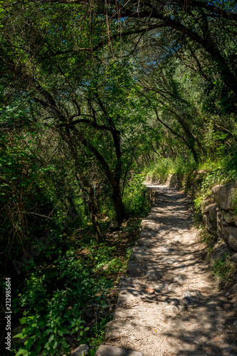 Vertical View of the Path between Corniglia and Vernazza at Summer. © daniele russo