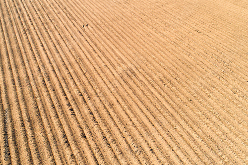Plowed field texture