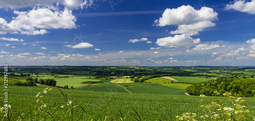 Summer Countryside Scene in Blackmore Vale and Vale of Wardour photo