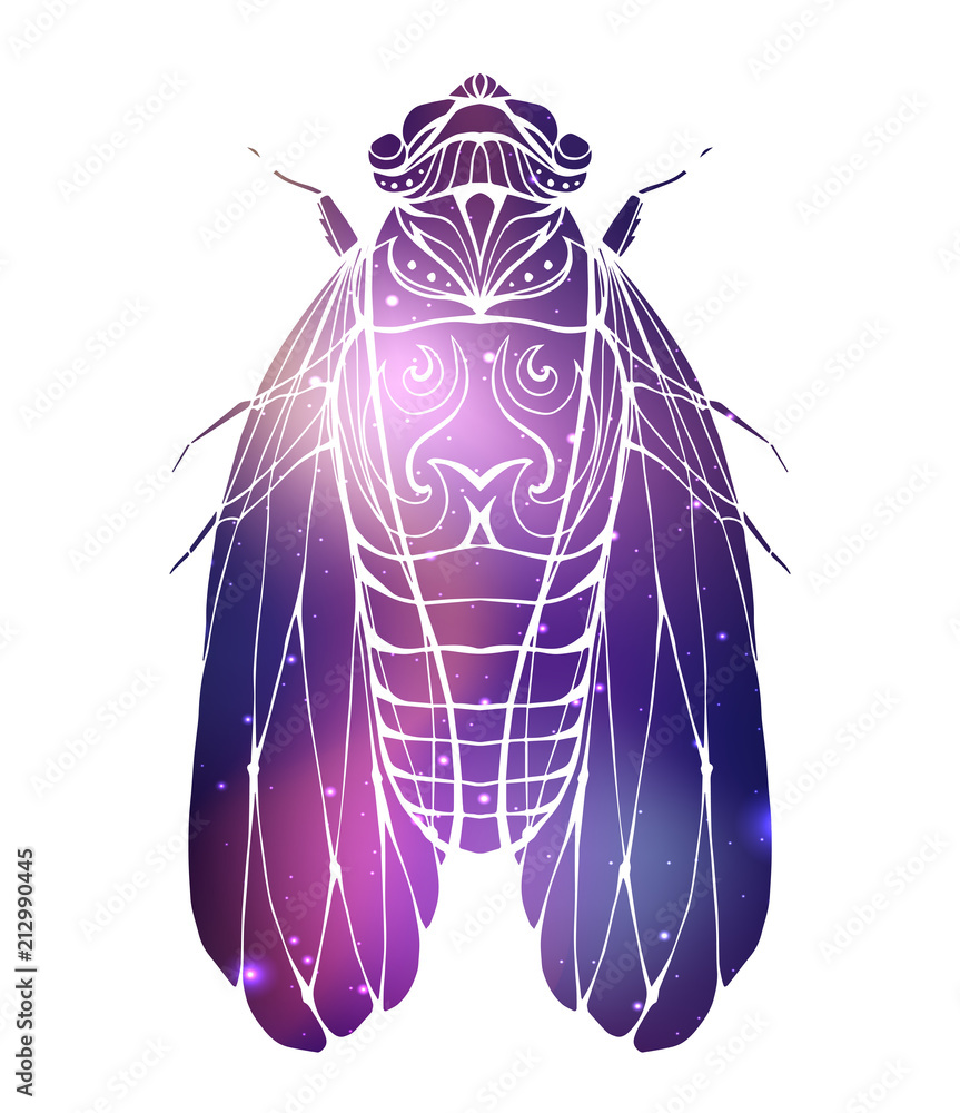 Hand drawn vintage cicada with a boho pattern and cosmic background ...