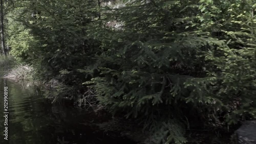 Water Gondola In Forest photo