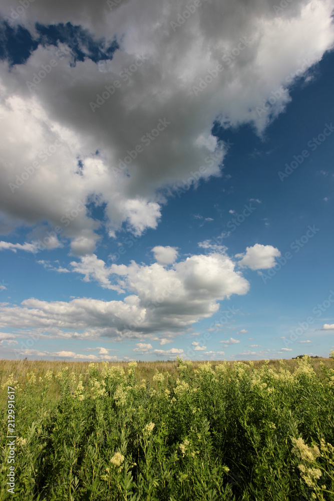 summer landscape with clouds over the road in the field summer landscape with clouds over the road in the field