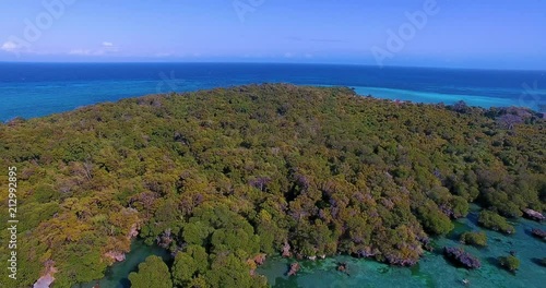 Aerial shot of the Kwale Island, Tanzania. photo