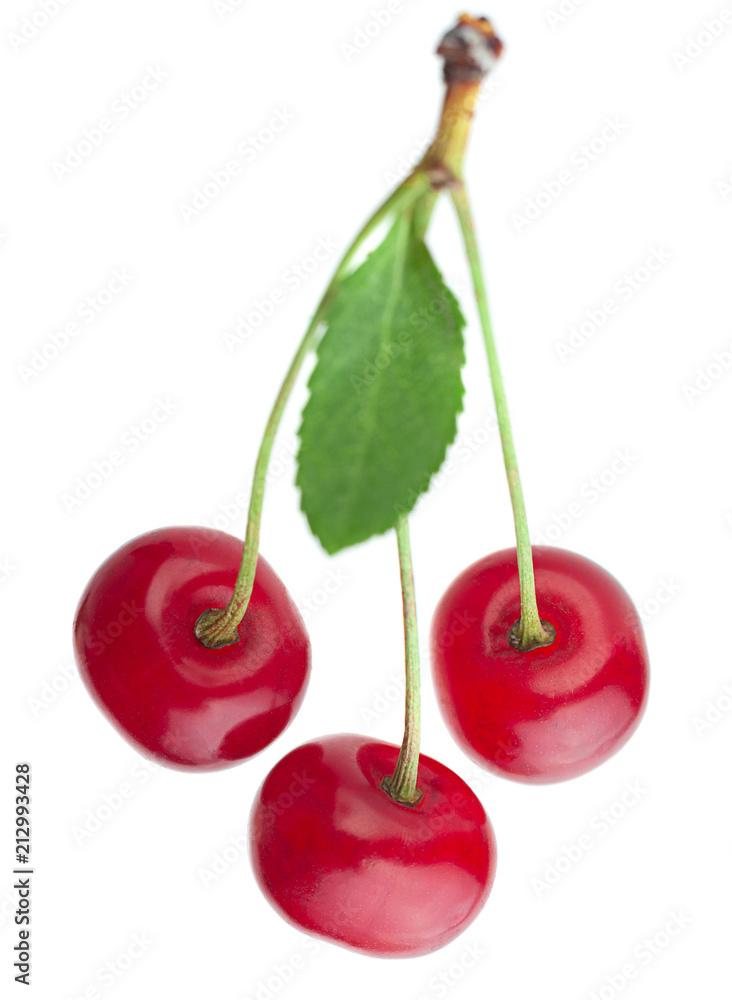 Cherry fruit isolated on white Cherry fruit isolated on white